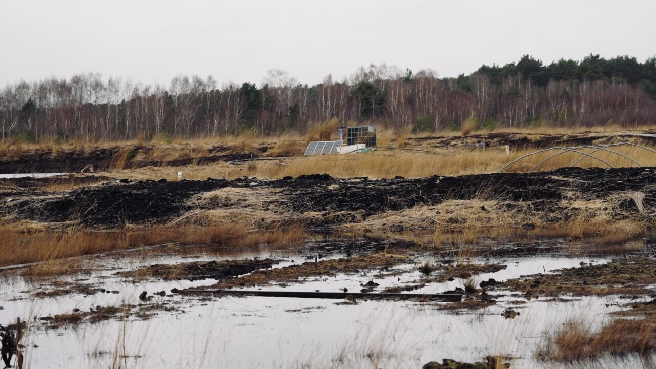 Moorschutz mit Solarpumpe