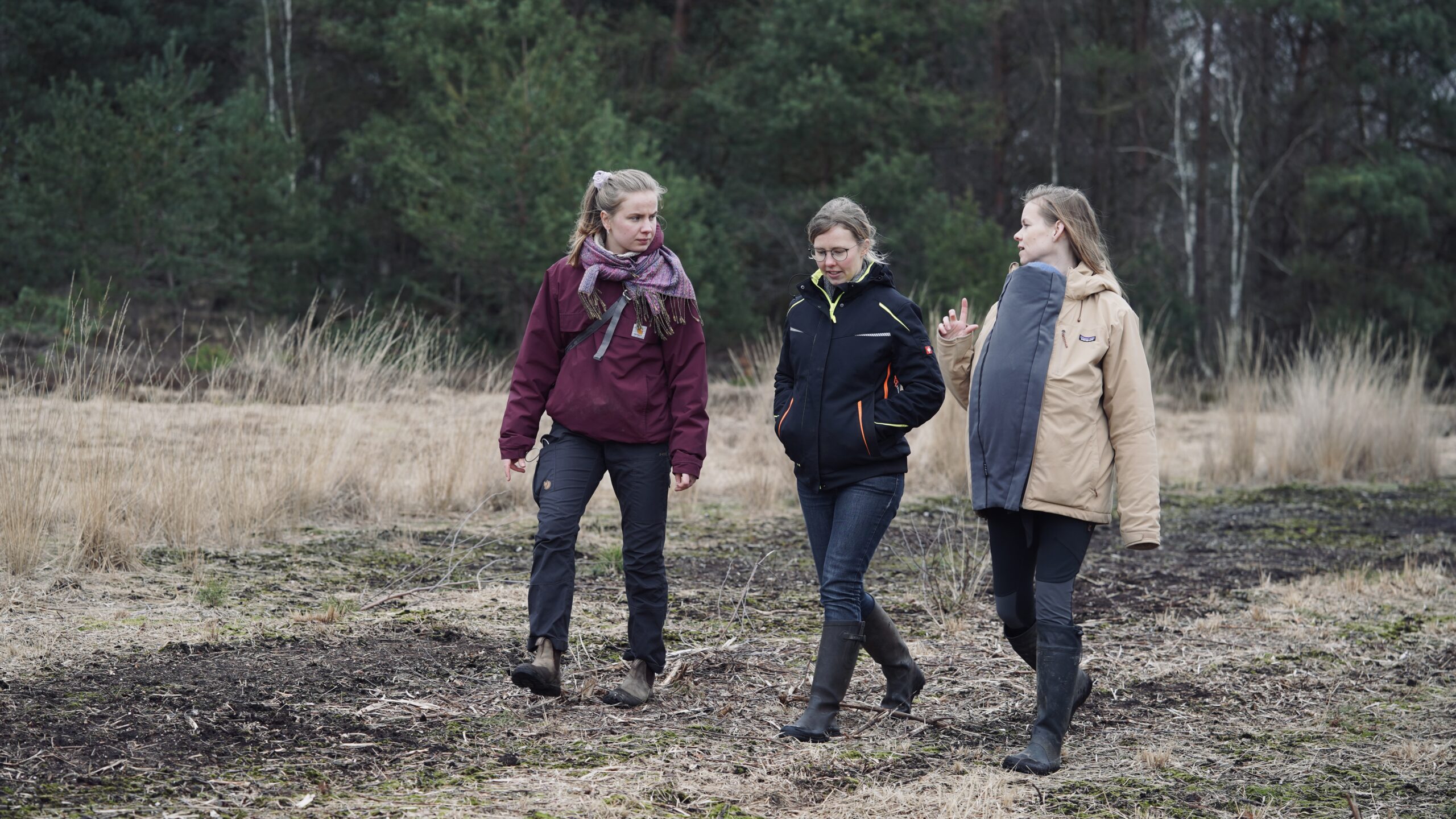 Anni, Corinna und Carla im Moor