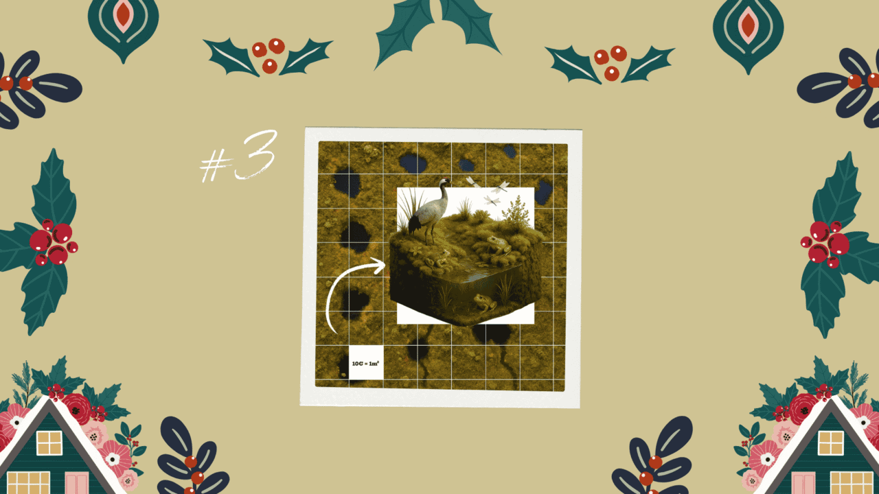 Moorige weihnachten 14 geschenkideen für freunde des moores 3 moorpatenschaft mit mission to marsh