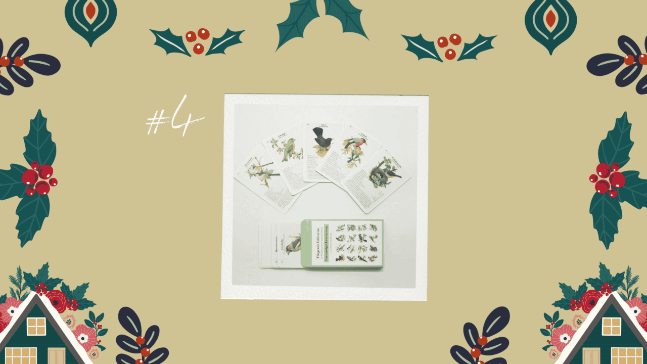 Moorige weihnachten 14 geschenkideen für freunde des moores 4 spiele bundle vogelquartett und gartenvögel erweiterung