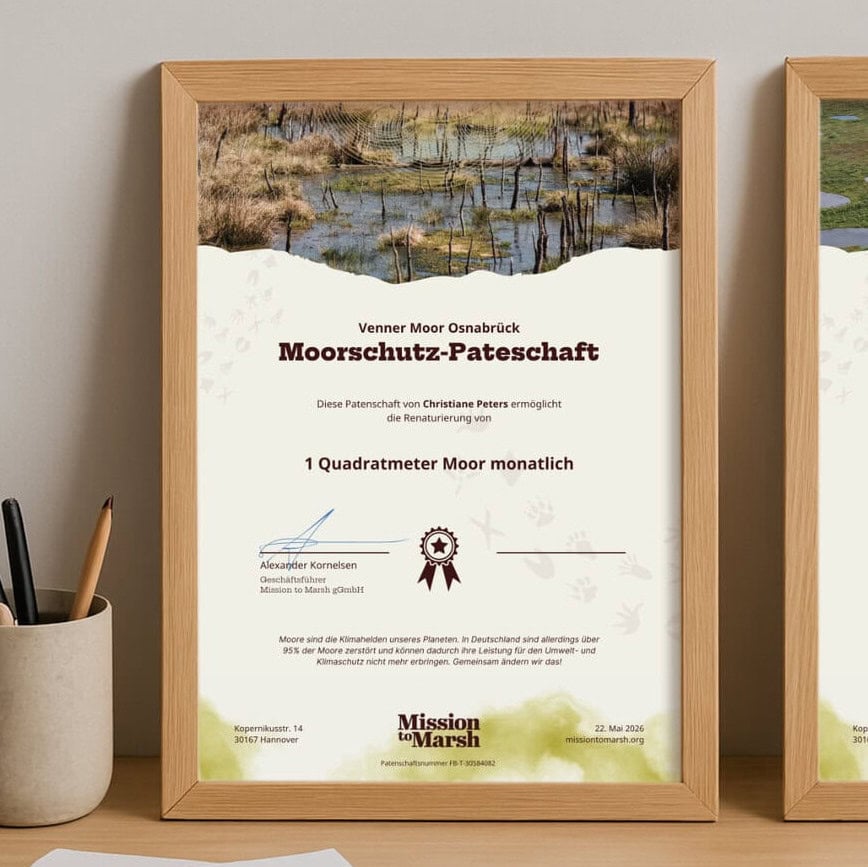Moorpatenschaften Mockup square