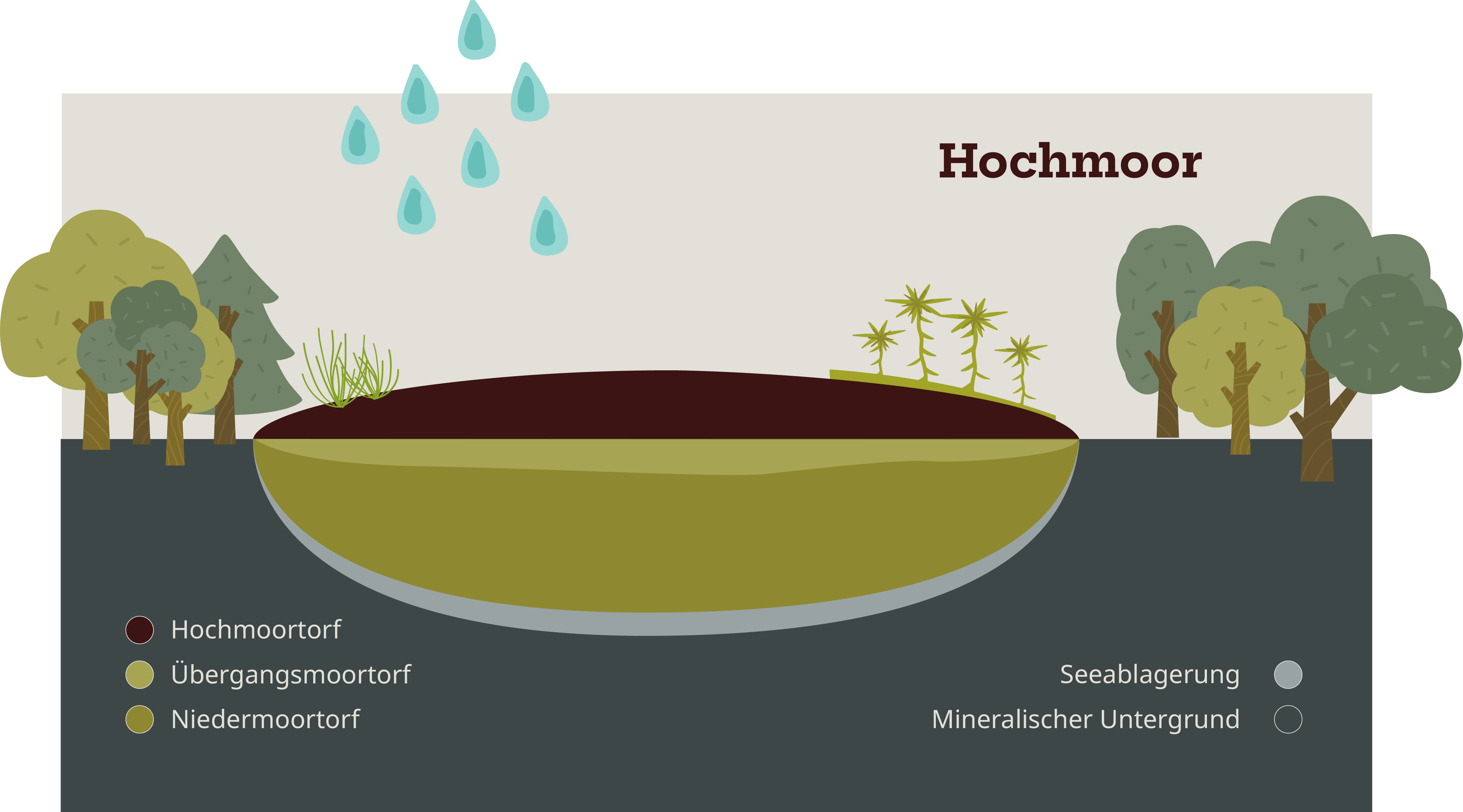 Mtm Hochmoor Dt Website