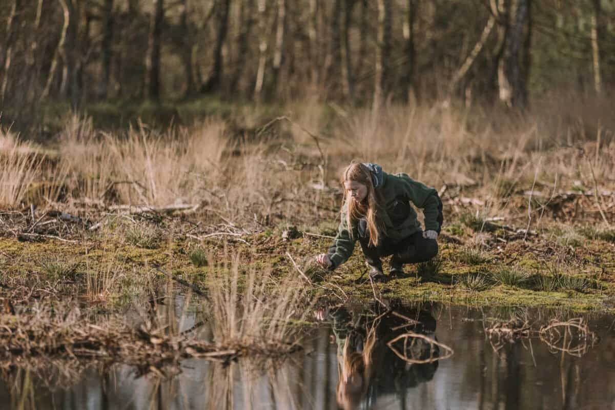 Mission to Marsh, neue Projekte