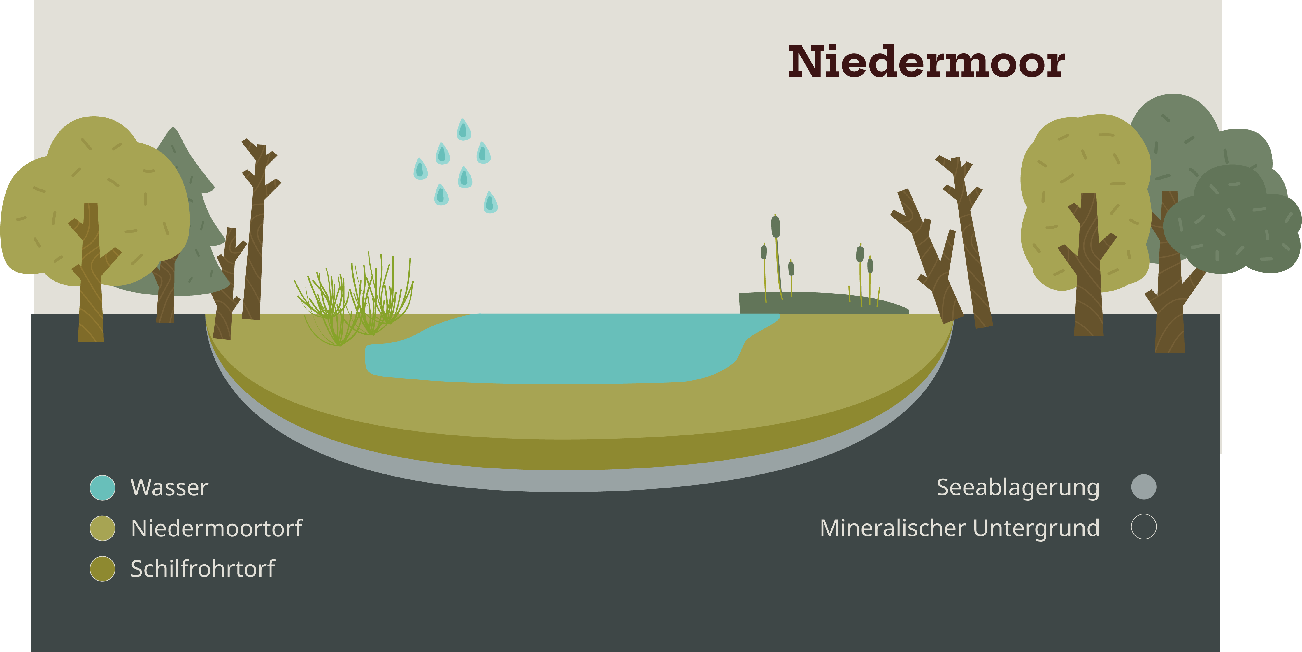 Mtm Niedermoor Dt Website